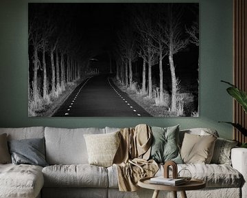 Dark road with trees