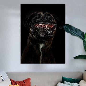 Bobbie: Elegantie in Actie