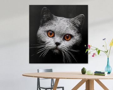 Blick-Duell mit einer Katze von Lars van de Goor