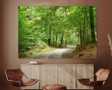 A path through the forest by Corinne Welp