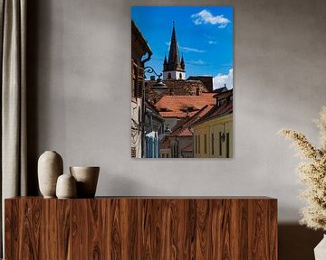 Sibiu daken met ogen van Jan Van Bizar