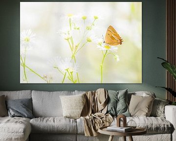 Papillon du prunellier sur une fleur sur Danny Slijfer Natuurfotografie