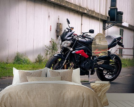 Aperçu de la chambre