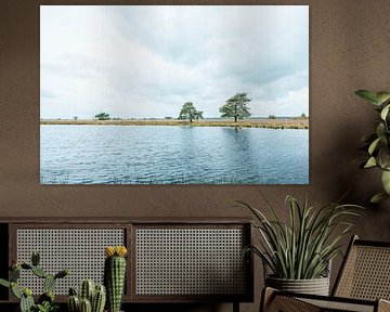 View over water - Fens on the Dwingeloosche Heide - Drenthe, Netherlands by Wandeldingen
