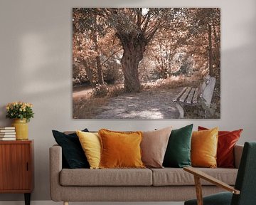 Serie "Herfstsfeer in Bünde" III van Momentaufnahme | Marius Ahlers
