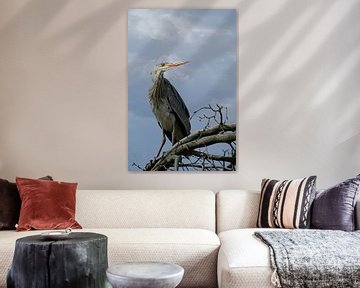 #2 Blauwe Reiger - Tronen van TW