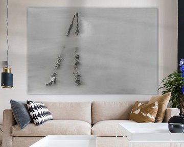 Fine art by Rando Kromkamp Natuurfotograaf
