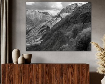 Vallei in het Reuzengebergte in Tsjechië, infrarood zwart-wit opname
