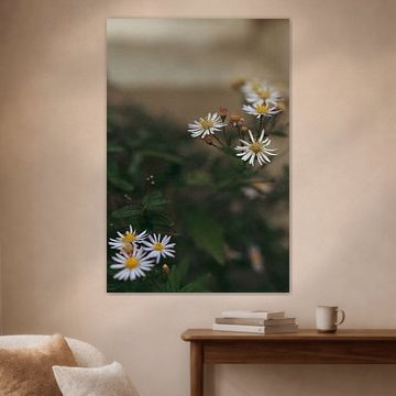 Flowers in the city by Daisy Tuinder