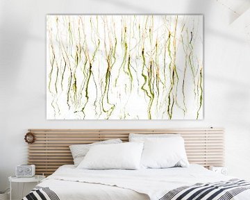 Abstracte waterplanten