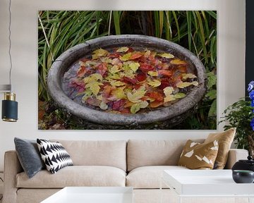 Autumn foliage in the garden by Claude Laprise