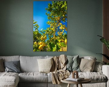Citroenen van Voss fotografie