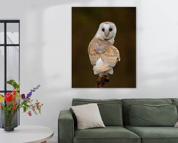 Die Eule mit dem Herz von HB Photography