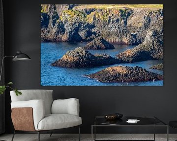 Arnastapi coastal landscape with cliffs in summer near the Snaefellsnes peninsula in Iceland