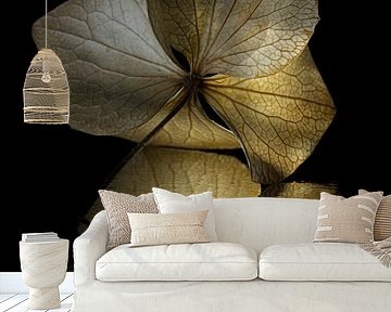 Alone in the dark: A hydrangea leaf with abstract reflection by Marjolijn van den Berg