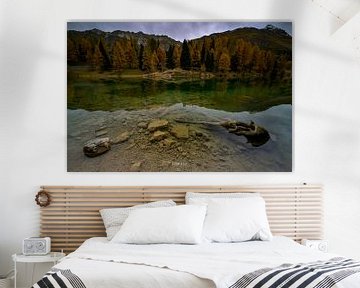 Amazing palpuognasee van Tomasz_best_shots