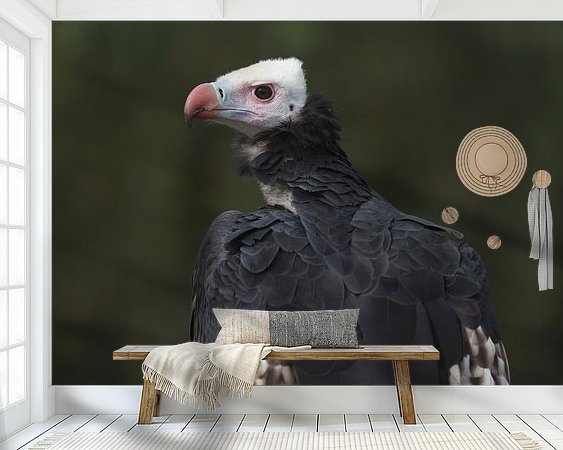 Raumvorschau
