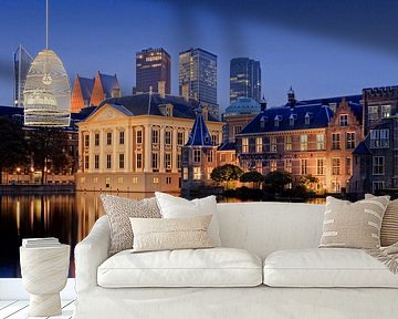 The Hague skyline seen from Lange Vijverberg  by gaps photography