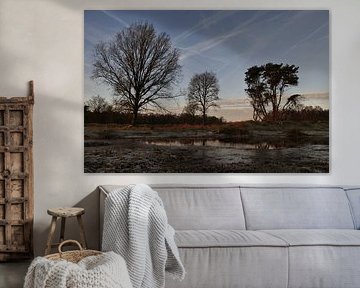 Warmth in the winter cold by Betsy Koning
