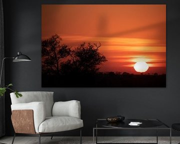 Sonnenaufgang Kruger National Park