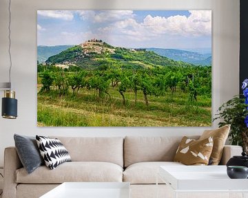 Motovun, Istrië, Kroatië, zomer van 2024. van Jonathan Servais