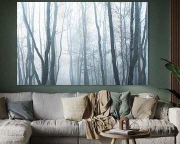 Mist in het bos van Jan Linskens