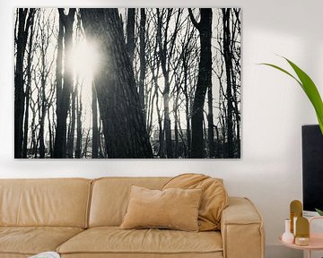 Walk through a forest by Afrodite Zegers