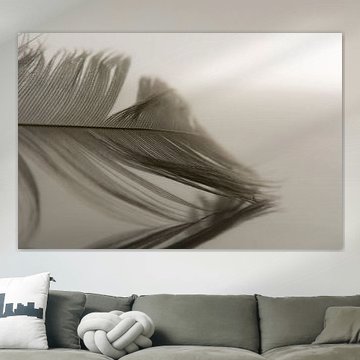 Zo licht als een veer