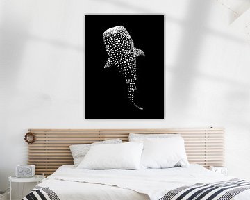 Walvis Haai Stip Art Ontwerp van Ramy Salah Hefny