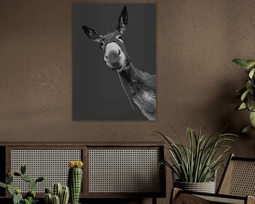 Grayscale ezel portretkunst van Ramy Salah Hefny