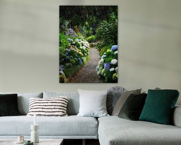 Het pad tussen de hortensias van Maickel Dedeken