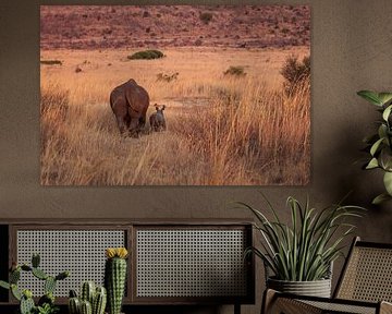 Neushoorn mama met de schatigste baby