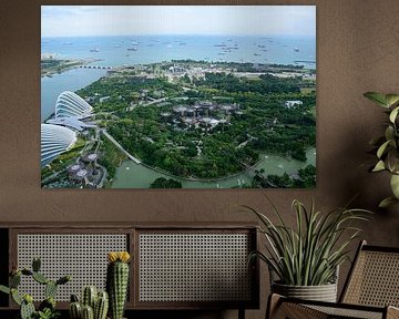 Looking over Gardens by the Bay