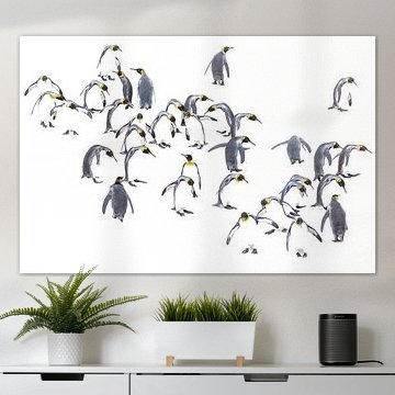 Pinguine in der Entwicklung