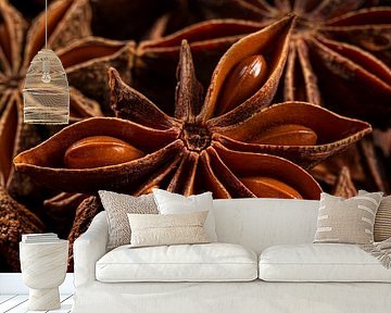 Imperfection: Square lying on a bed of star anise by Marjolijn van den Berg