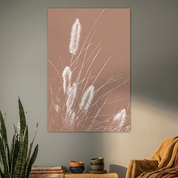 Weiße Gräser auf Mokka-Mousse von Imladris Images