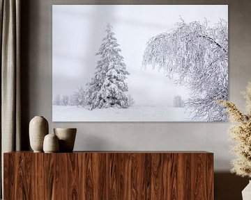 Sneeuwbedekte Bomen in een Stille Wereld van Cor de Bruijn Photography