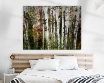 Forest dreams