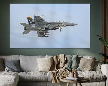 Boeing F/A-18F Super Hornet from VFA-103 Jolly Rogers. by Jaap van den Berg