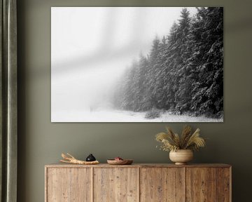 'WINTER', bomen in de mist. Zwart-wit fotografie.