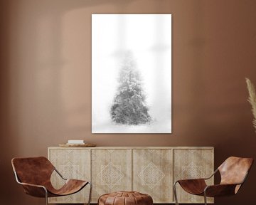 'WINTER', bomen in de mist. Zwart-wit fotografie.