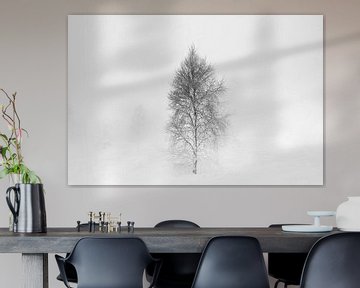 'WINTER', bomen in de mist. Zwart-wit fotografie. van Femke den Hollander