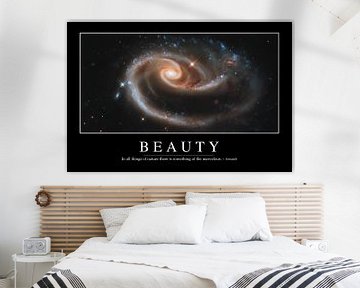 STK107072M-Beauty: Inspirerende en motiverende poster van Stocktrek Images
