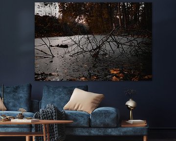 Dark nature full of autumn colours by Thijs Heinen