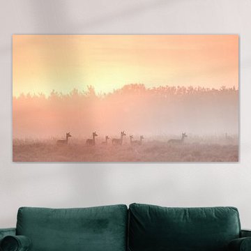 Damhirsche im Nebel von Monica de Jong