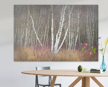 Birch and grass