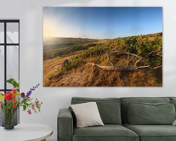 Photo atmosphérique du soir des dunes près de Petten en Hollande du Nord. sur gaps photography