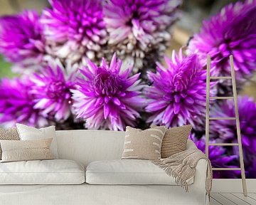 IJzerkruid - paarse majesteit