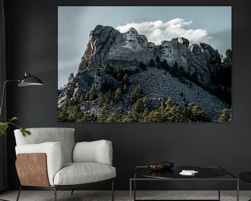 De gezichten van Amerika: Mount Rushmore van Discover Dutch Nature