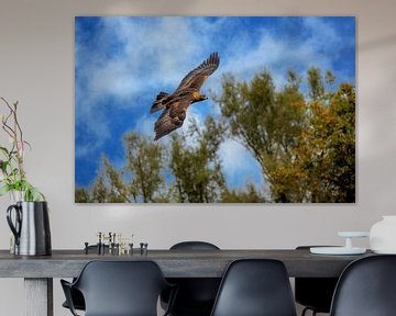 Nahaufnahme von einem Steinadler im Flug von ManfredFotos